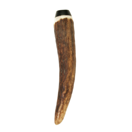 Horn Kilt Pin With Buffalo Tip - In Black Kilt Pin Box